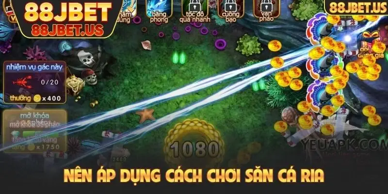 Nên áp dụng cách chơi săn cá ria