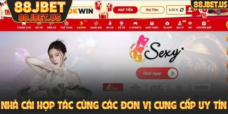Nhà cái hợp tác cùng các đơn vị cung cấp game uy tín